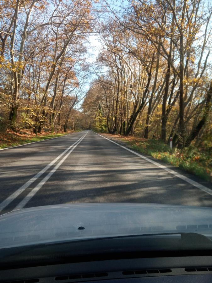 Lampros Studio Kalambaka Zewnętrze zdjęcie